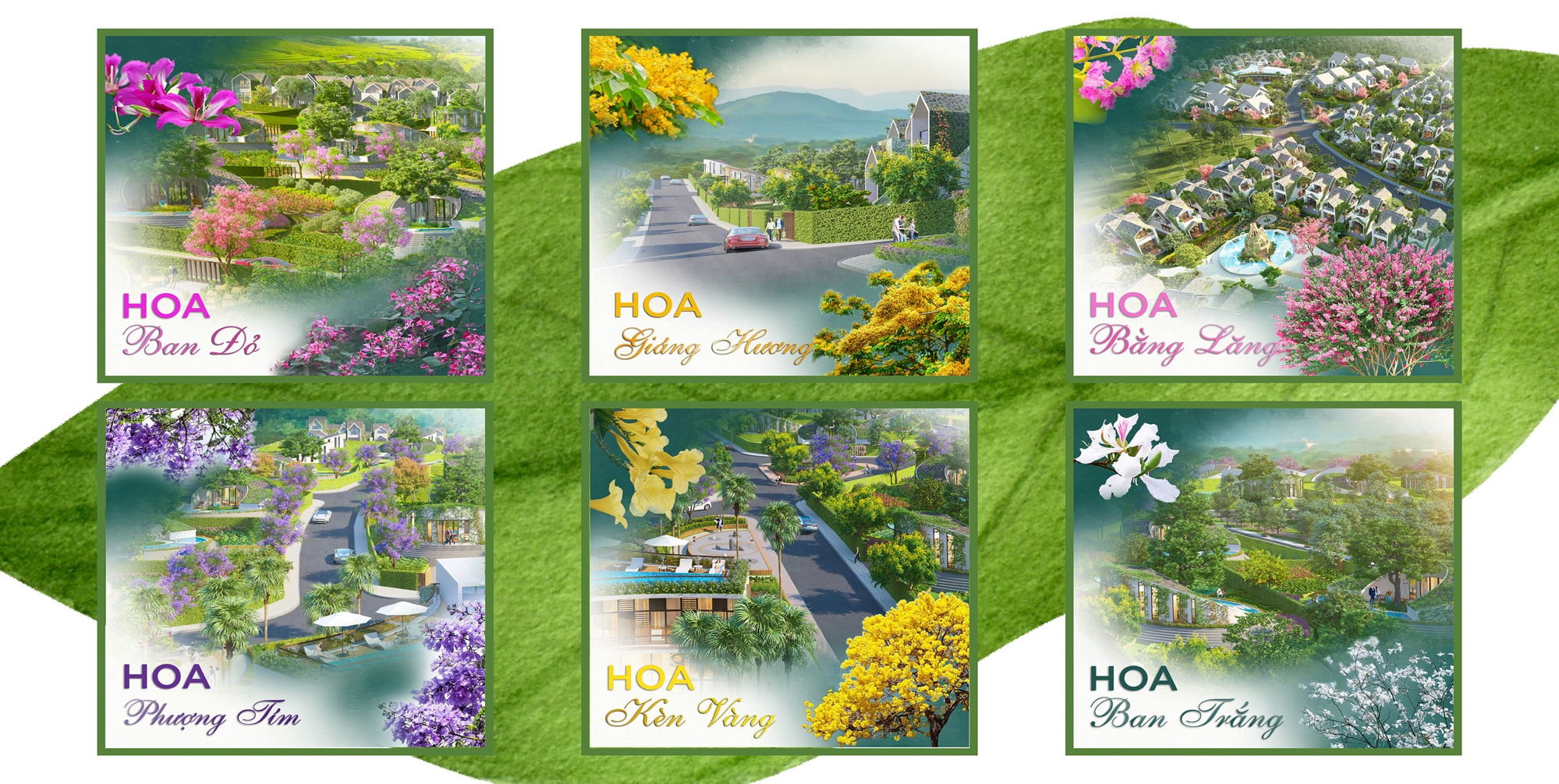 duong hoa