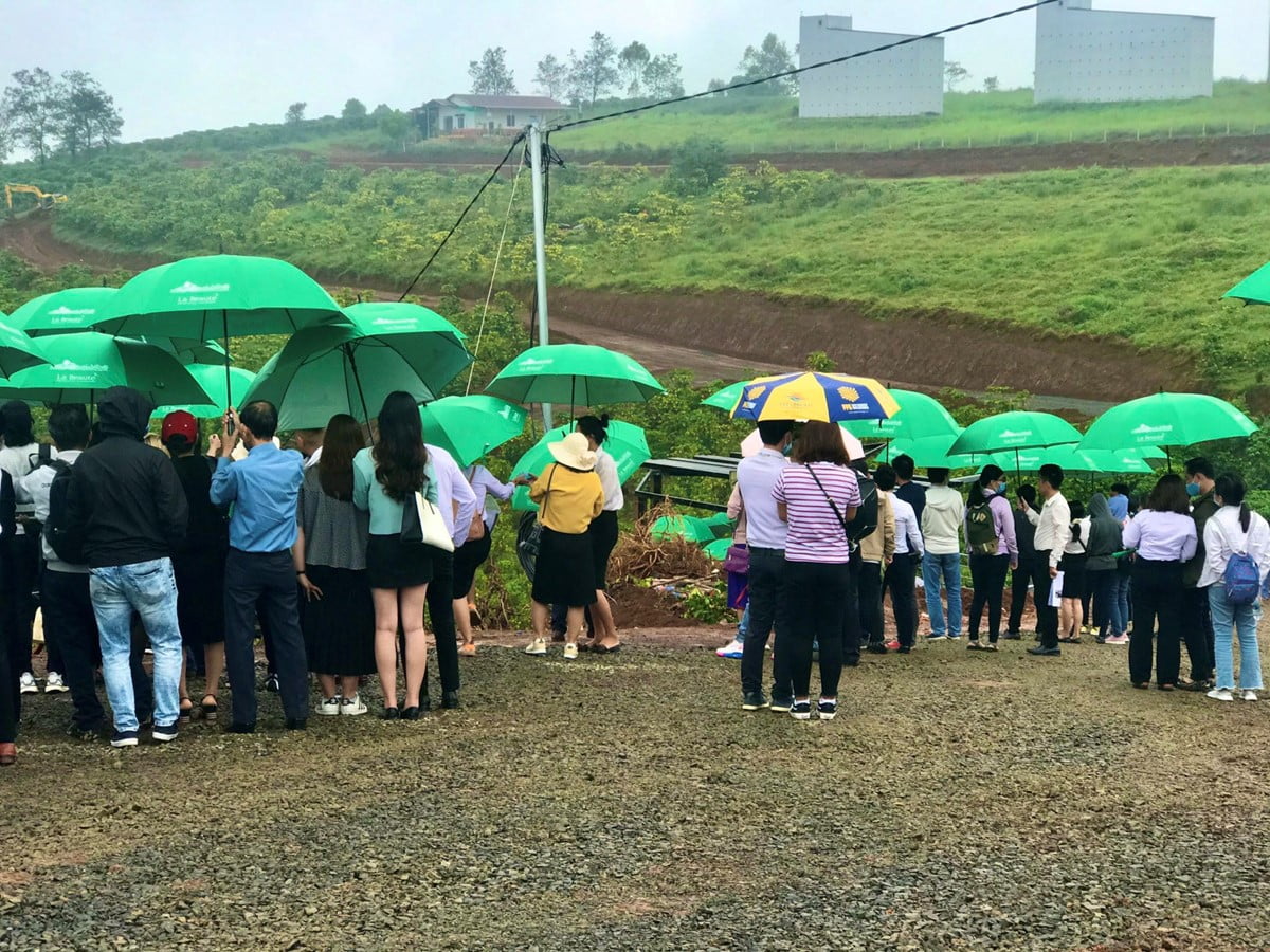 la nature bảo lộc