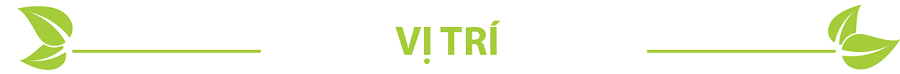 vị trí